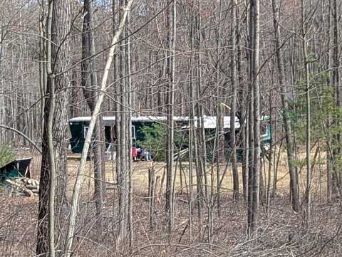 5799 Deer Trail, Curran, MI 48728