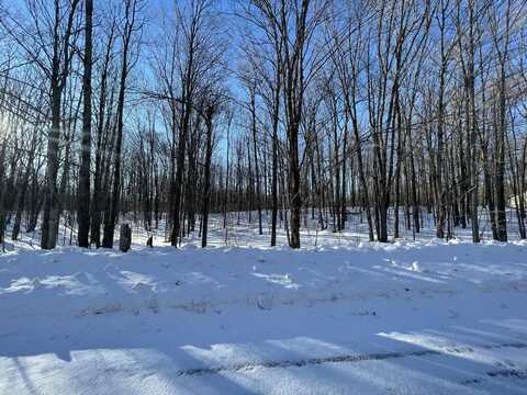 Lot 281 Acacia Drive, Mancelona, MI 49659