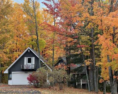 10321 Lakeview Drive, Atlanta, MI 49709