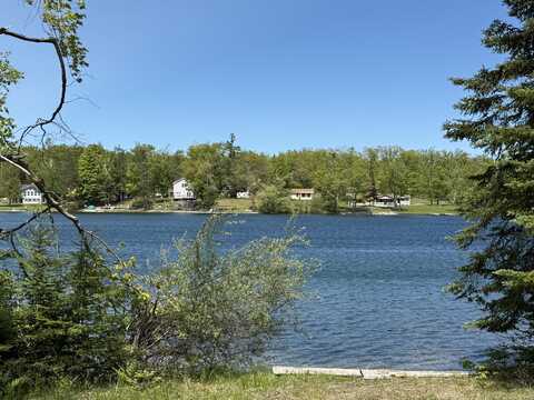 Hayes Lane, Cheboygan, MI 49721