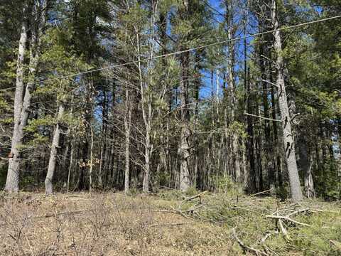 04 Sturgis Road, Atlanta, MI 49709
