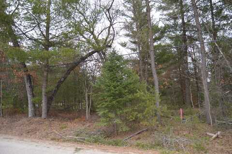 E Arthur Randall Street lot: #28, Mio, MI 48647