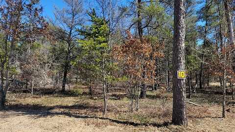 10 Lumberjack Court, Grayling, MI 49738