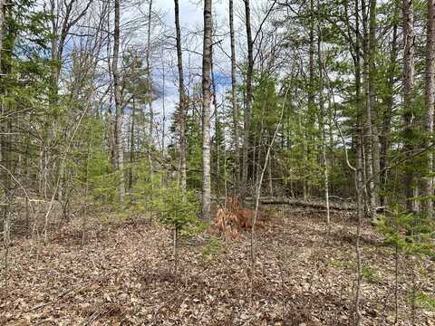 4409 Big Sky Trail, Indian River, MI 49749