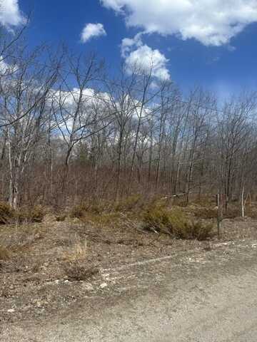 Lot #16 Highland Pines Road, Presque Isle, MI 49777