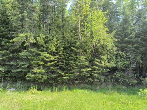 Nhn M-68 Highway, Rogers City, MI 49779