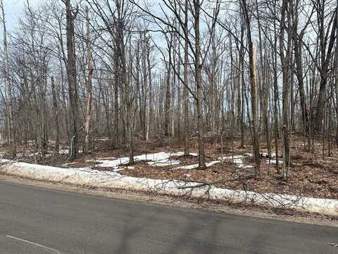 Lot# 1937 Bob White Way, Gaylord, MI 49735