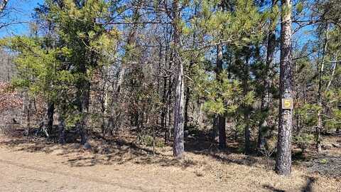 5 Lumberjack Court, Grayling, MI 49738