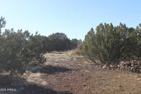8588 Kaibab Lane, Show Low, AZ 85901