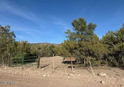 395xx Kokopelli Trail, Seligman, AZ 86337