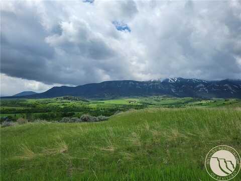 447 Highway 78, aka Lot 2 Whitetail Lane, Red Lodge, MT 59068
