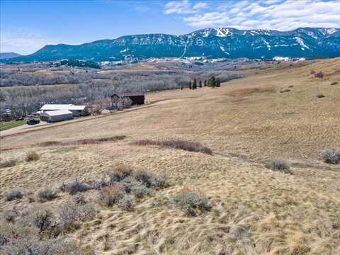 447 Highway 78, aka Lot 2 Whitetail Lane, Red Lodge, MT 59068