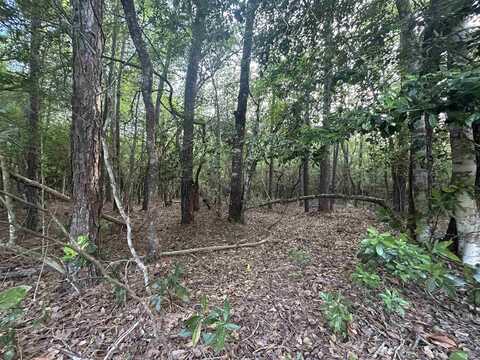 Lot 8 & 9 E WILDWOOD DR, Village Mills, TX 77663