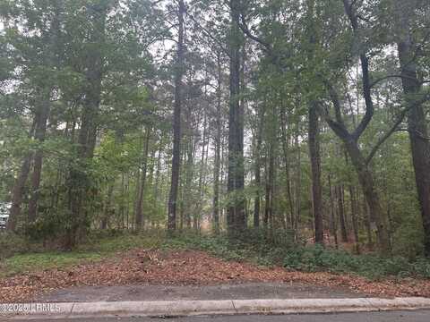 9 Turtle Lane, Beaufort, SC 29907
