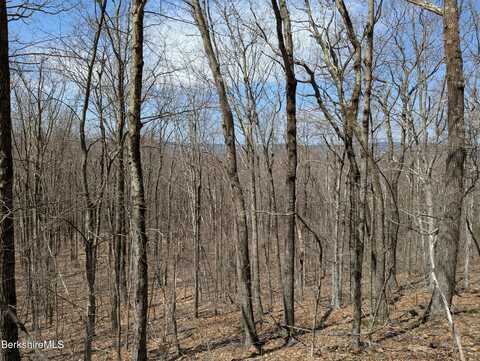 0 Lenox Rd, West Stockbridge, MA 01266