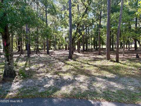 186 Egret Court SW, Supply, NC 28462