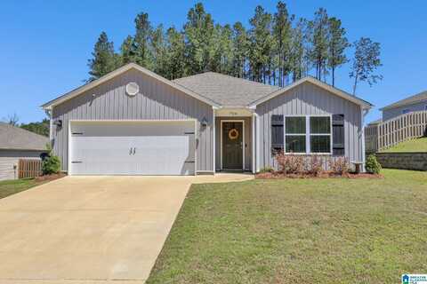 728 FISH CAMP ROAD, CHELSEA, AL 35147