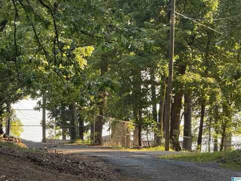 0 DAVIS ACRES DRIVE, ALPINE, AL 35014
