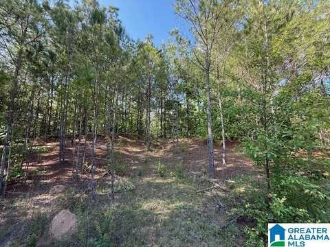 213 SHORE SIDE LANE, SYLACAUGA, AL 35151