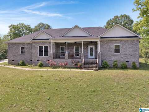 209 HUDSON AVENUE, ONEONTA, AL 35121