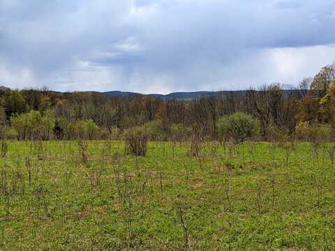 Lot #37.01 County Highway 4, Morris, NY 13808