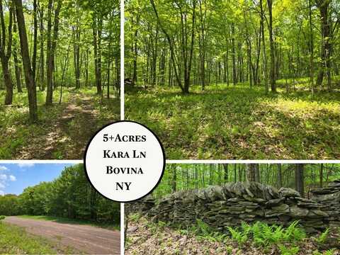 Lot 25 Kara Lane, Bovina, NY 13740