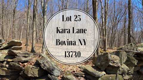 Lot 25 Kara Lane, Bovina, NY 13740