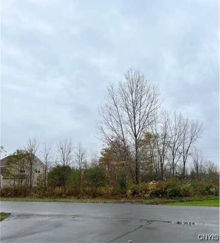 126 Arcadia Avenue, Oswego, NY 13126
