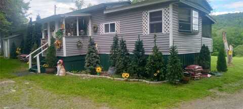 846-848 Silas Tompkins Road, Hancock, NY 12760