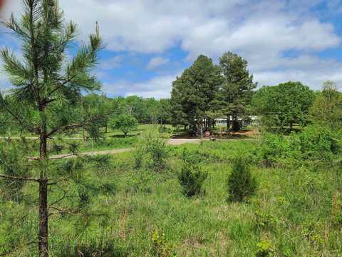 Blackland Road, Pleasant Plains, AR 72568