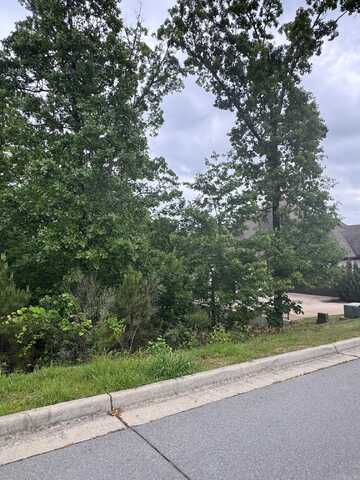 15 Weatherstone Point, Little Rock, AR 72211