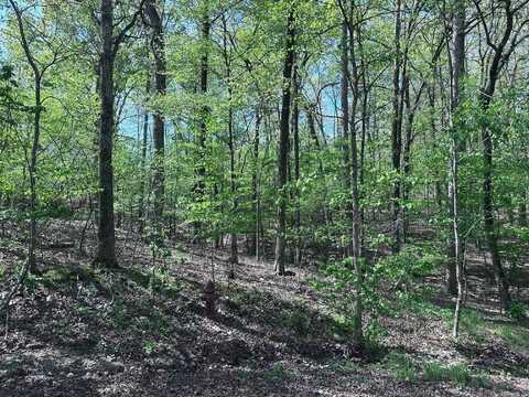 47 Rubi Circle, Hot Springs Village, AR 71909