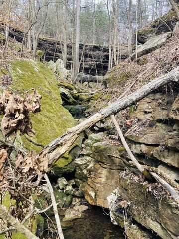 10 Campbell Lane, Calico Rock, AR 72556