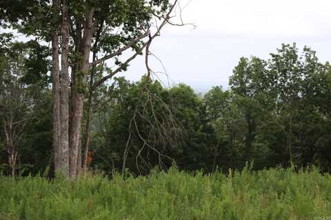 Tract 3 MC 5039, Valley Springs, AR 72682
