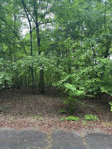 Lot 2 Vestonero Way, Hot Springs Village, AR 71909