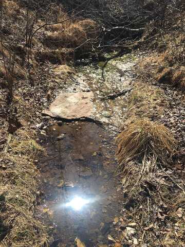 Tract 3 Ramblewood Trail, Yellville, AR 72687