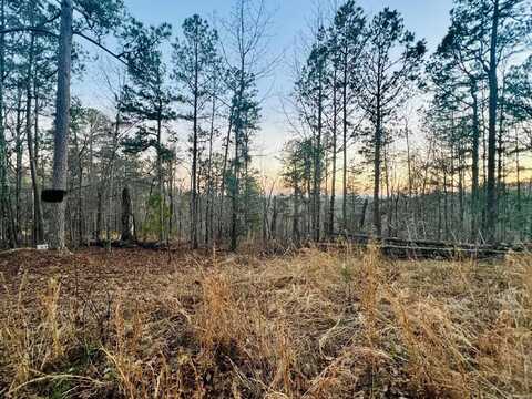 Tract 6 Ramblewood Trail, Yellville, AR 72687
