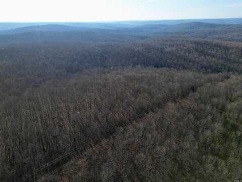 undefined, Williford, AR 72482