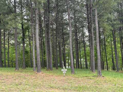140 Foxtrot Lane, Jasper, TN 37347