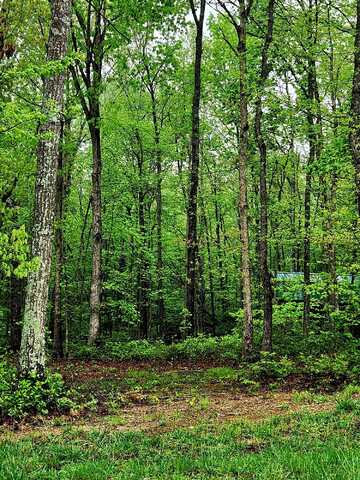 200 Salolee Circle, South Pittsburg, TN 37380
