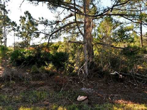 SCHOEN STREET, NORTH PORT, FL 34291
