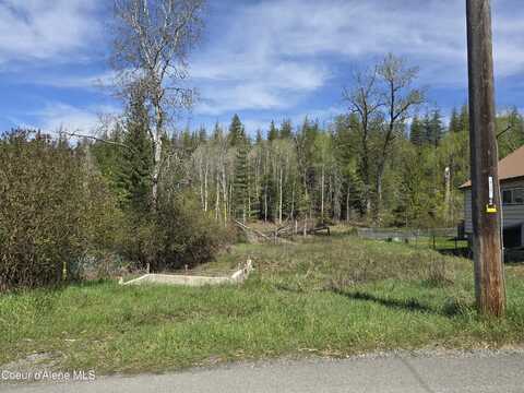 821 Lower Page Rd, Smelterville, ID 83868