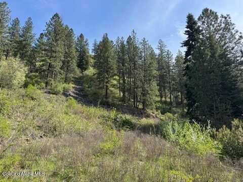 NKA Odessa Lp, Saint Maries, ID 83861