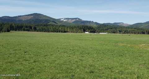 Parcel 12 Green Valley Rd, Fernwood, ID 83830