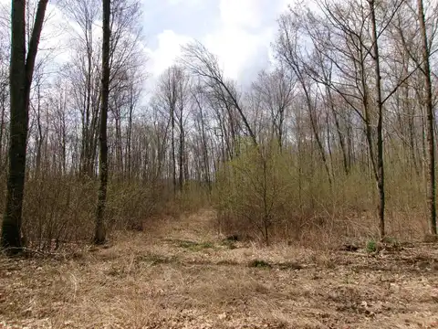 TBD E Tice Trail, Harrison, MI 48625