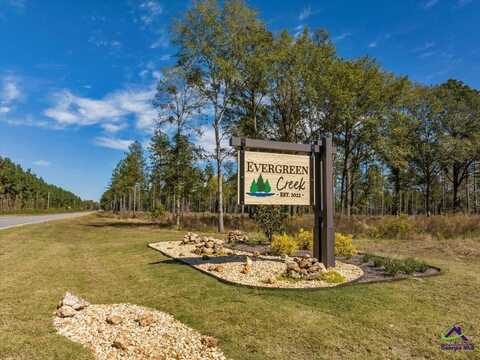 12 Timber Way, Cochran, GA 31014