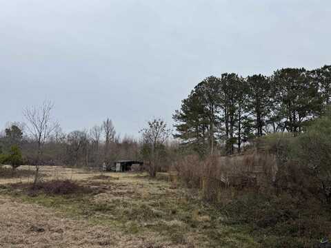 206 Gooseneck Lane, Hawkinsville, GA 31036