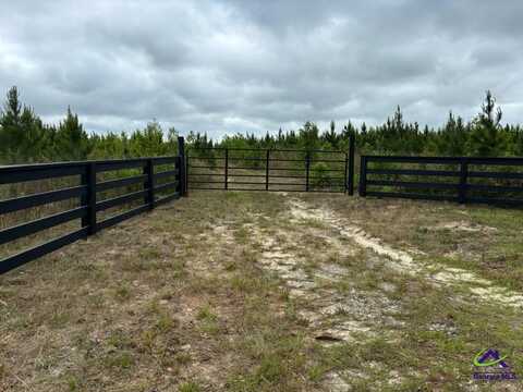 Cactus Hill Road, Roberta, GA 31078