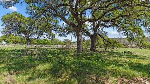 113 Vista Sendero, Blanco, TX 78606