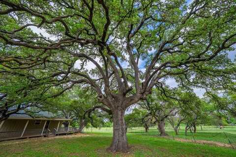 1114 Meadowlark Dr, Fredericksburg, TX 78624